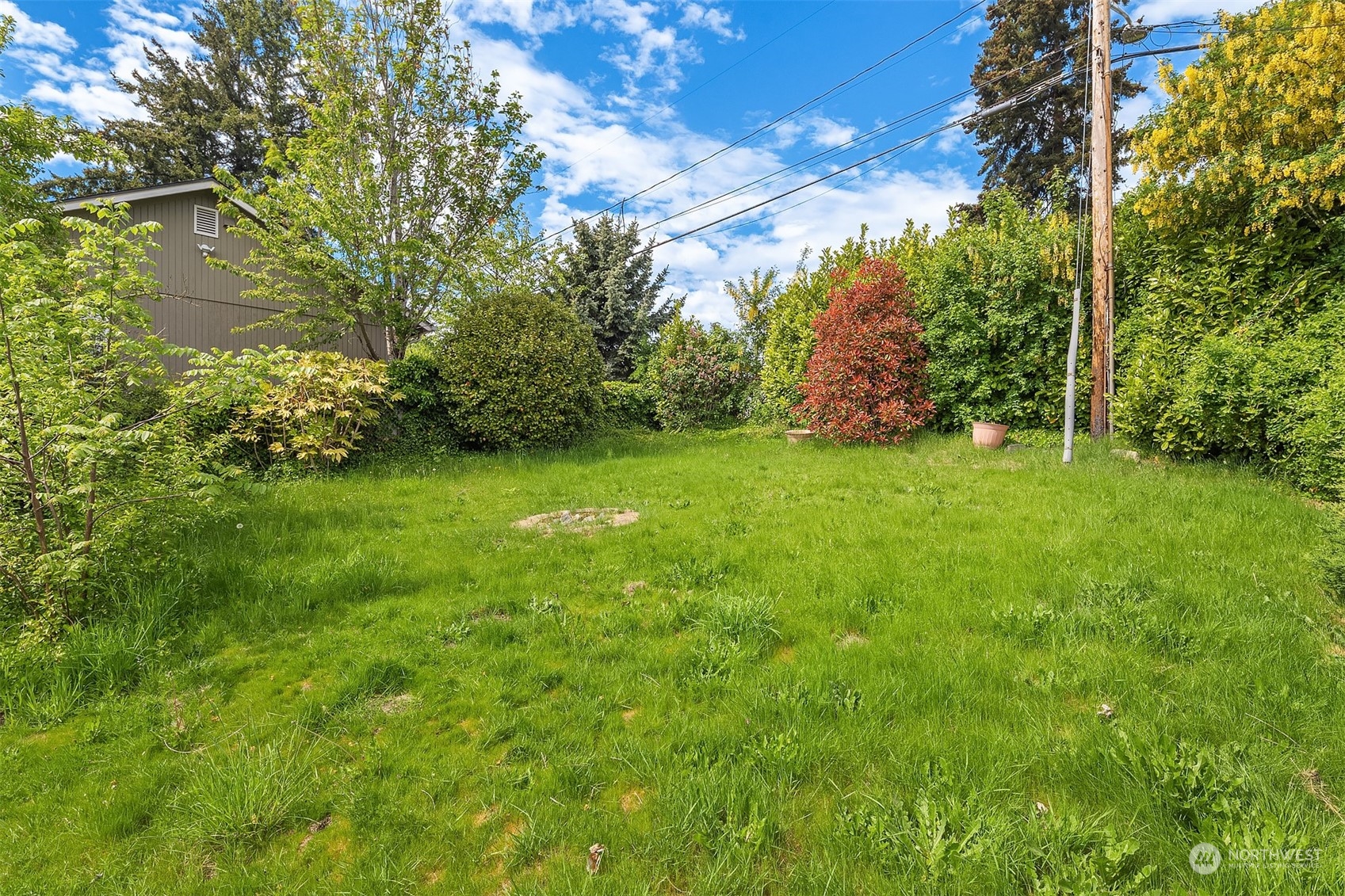 201 Thomas Avenue Southwest Renton, WA 98057 - Photo 31 of 38 a view of a lush green space