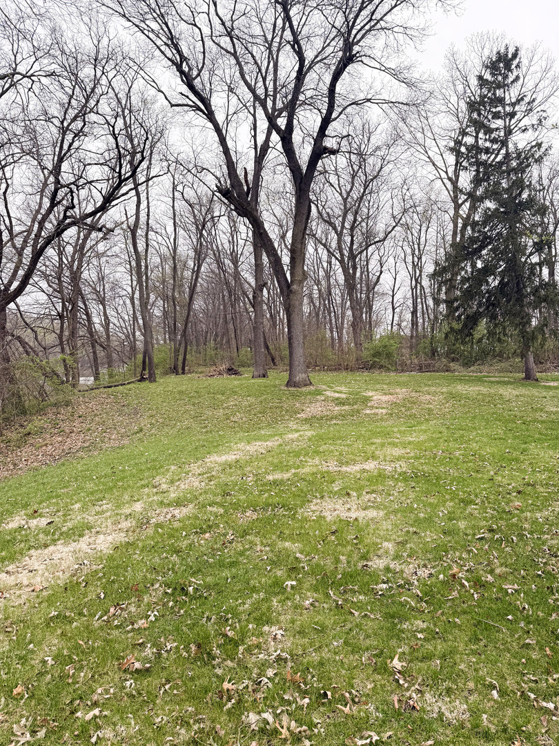 1599 East 2700 North Road Clifton, IL 60927 - Photo 6 of 26 a view of a field with trees in the background