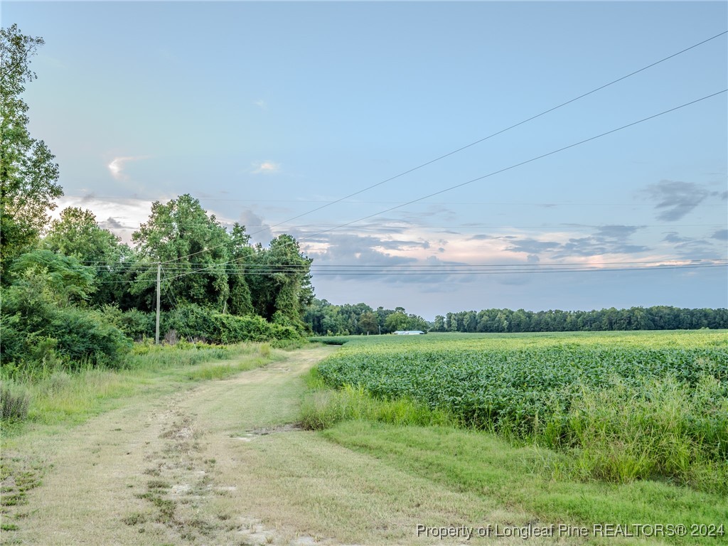 6391 Old Stage Road Fairmont, NC 28340 - Photo 14 of 43 Gallery Image 14
