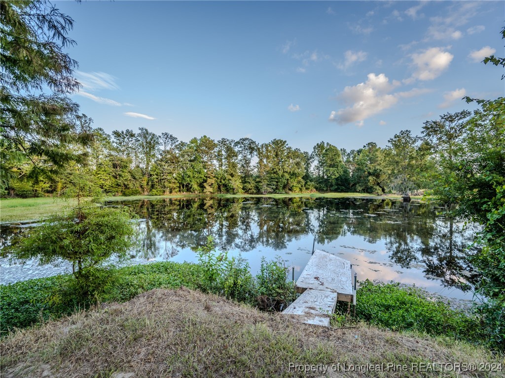6391 Old Stage Road Fairmont, NC 28340 - Photo 19 of 43 Gallery Image 19