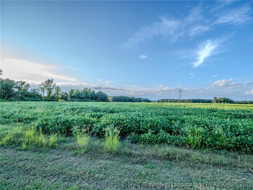 6391 Old Stage Road Fairmont, NC 28340 - Photo 25 of 43 Gallery Image 25