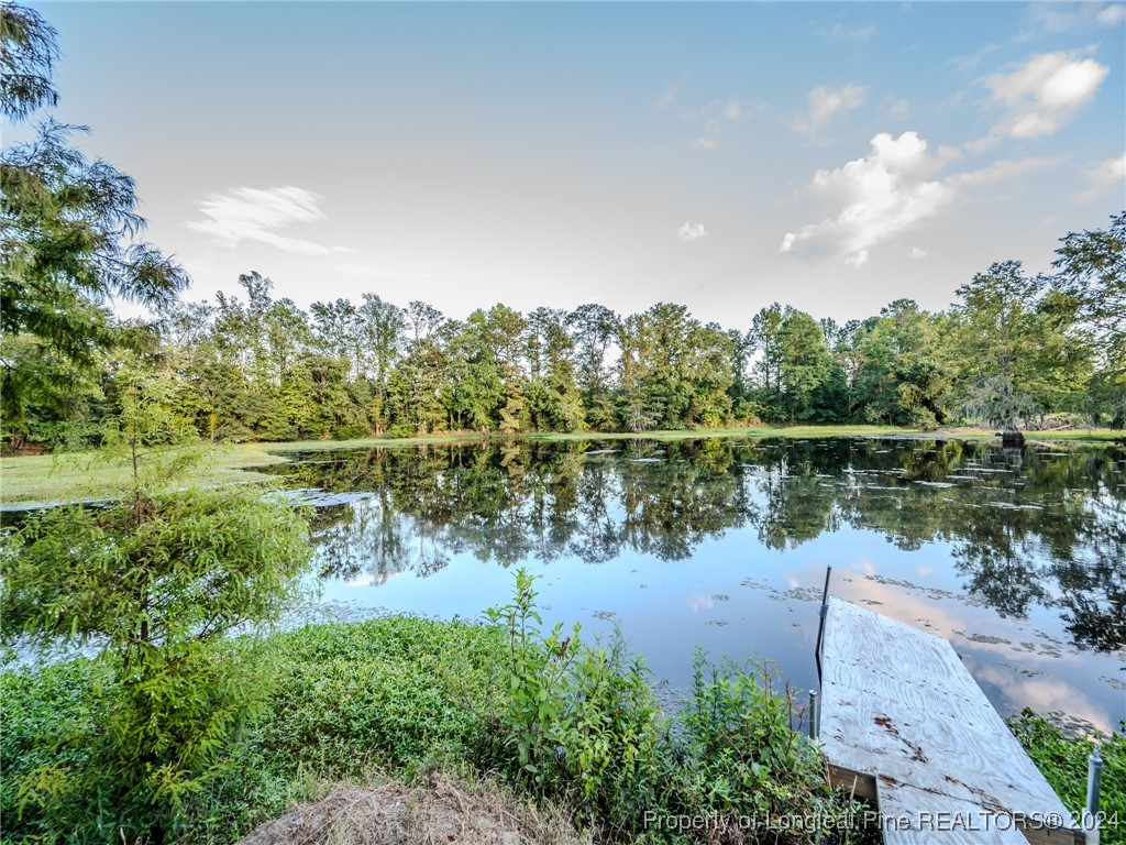 6391 Old Stage Road Fairmont, NC 28340 - Photo 42 of 43 Gallery Image 42