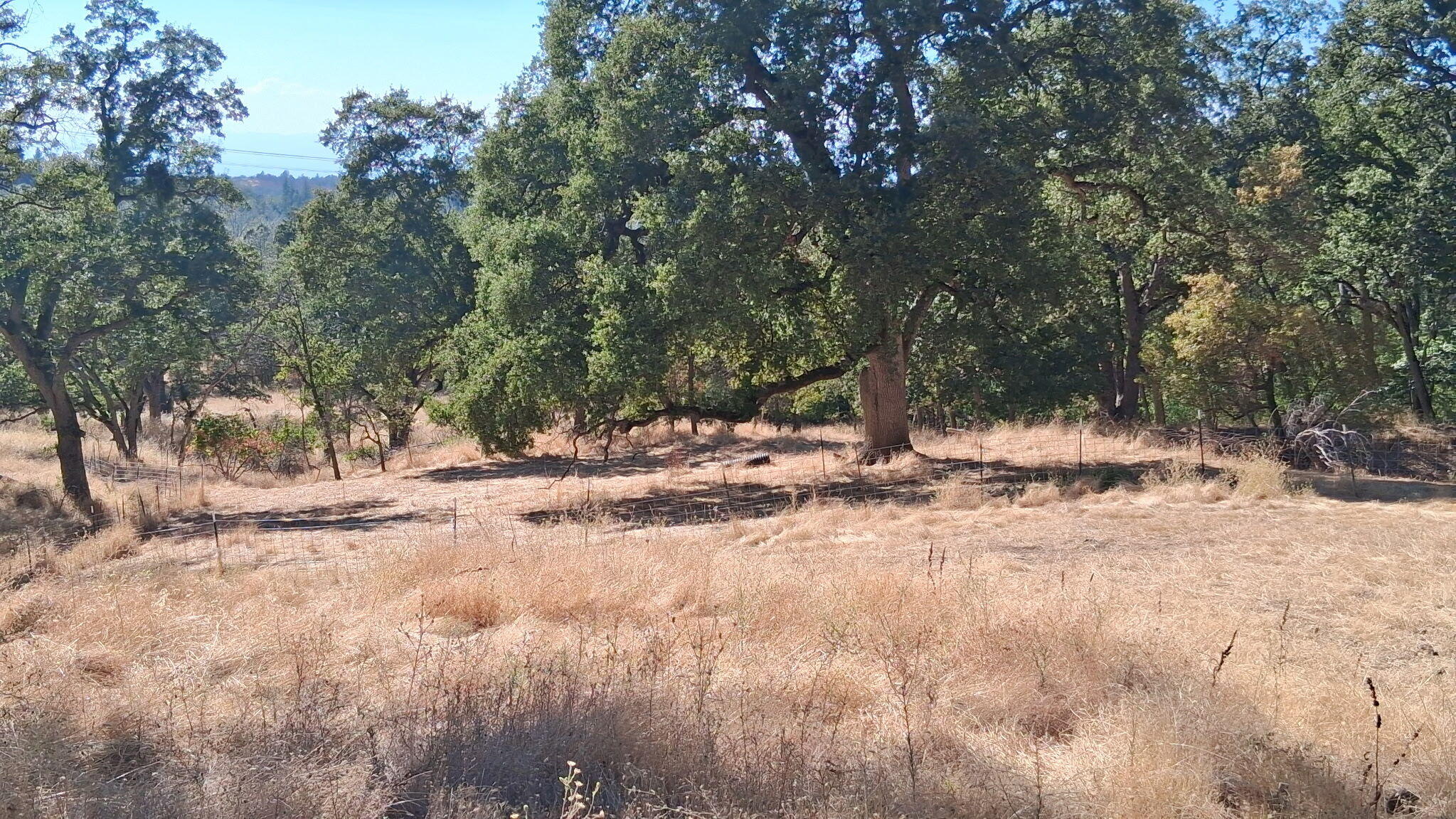 739-acres Shingletown Ridge Road Shingletown, CA 96088 - Photo 12 of 19 8353