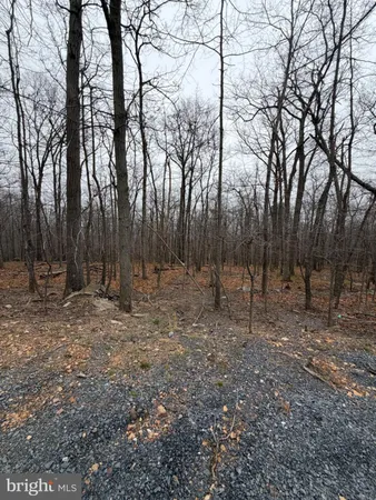 $9,500 | Arbutis Trail, Star Tannery, VA 22654