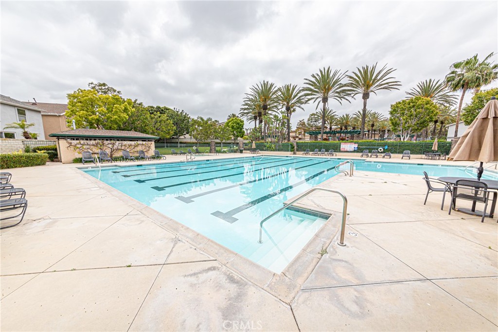 17645 Loganberry Road Carson, CA 90746 - Photo 46 of 56 a view of a swimming pool with a lounge chair and palm trees