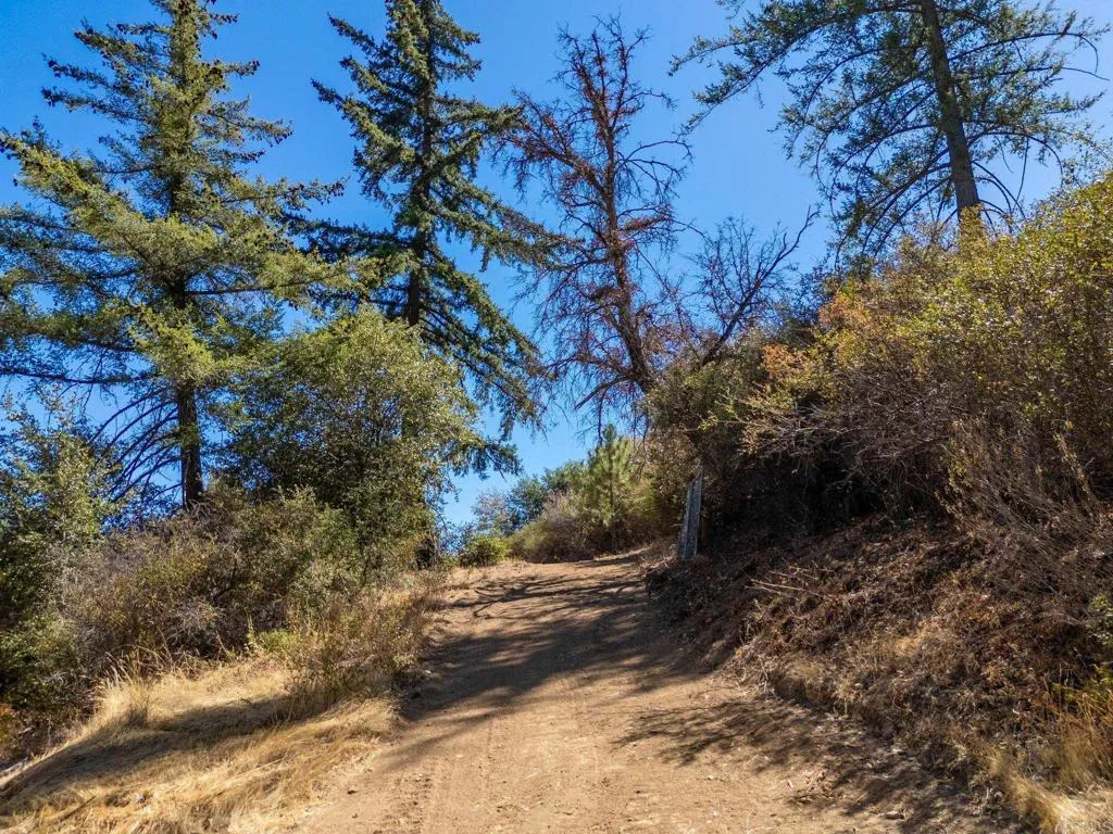 61 East Grade Road Palomar Mountain, CA 92060 - Photo 8 of 26 Gallery Image 8