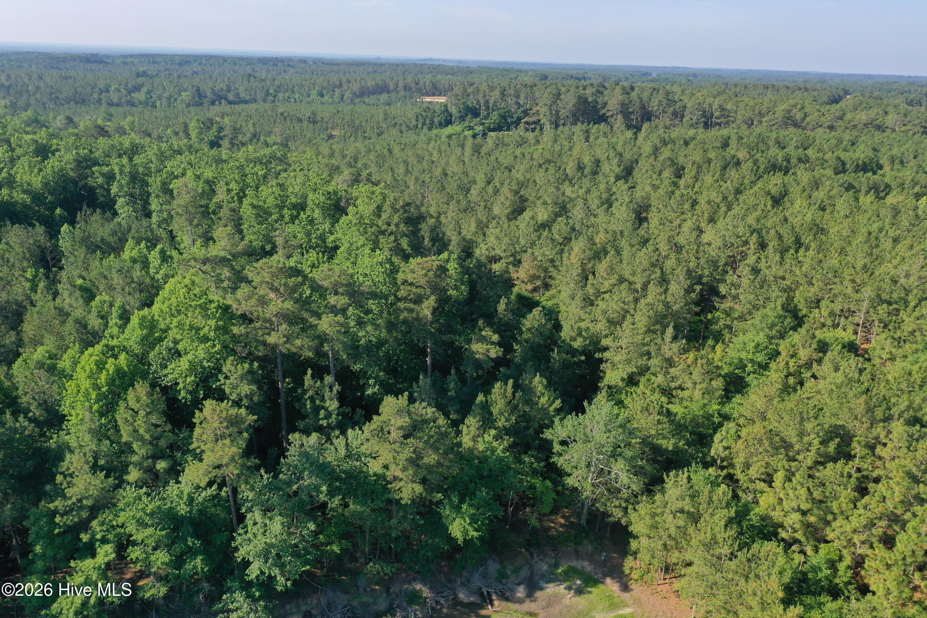 Tbd Jones Spring Church Road Ellerbe, NC 28338 - Photo 22 of 29