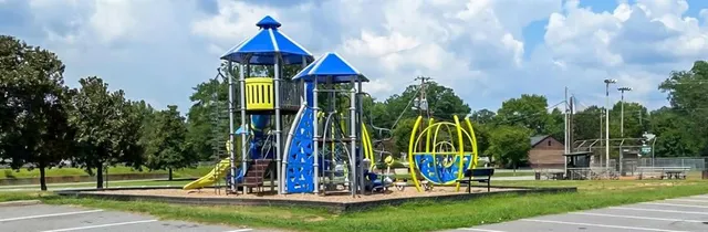 a view of a park with tall trees