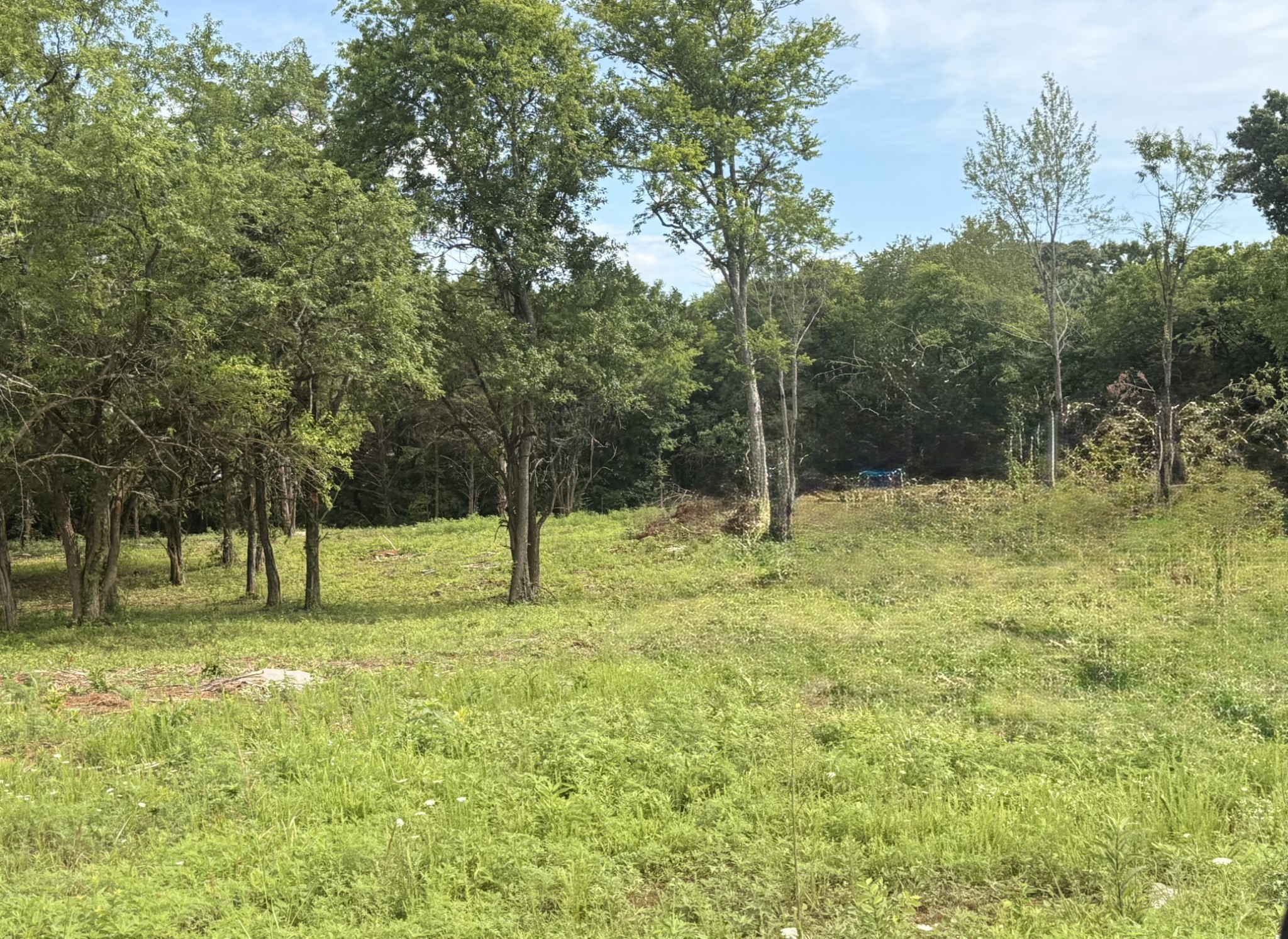 6730 Burnt Knob Road Murfreesboro, TN 37129 - Photo 5 of 7
