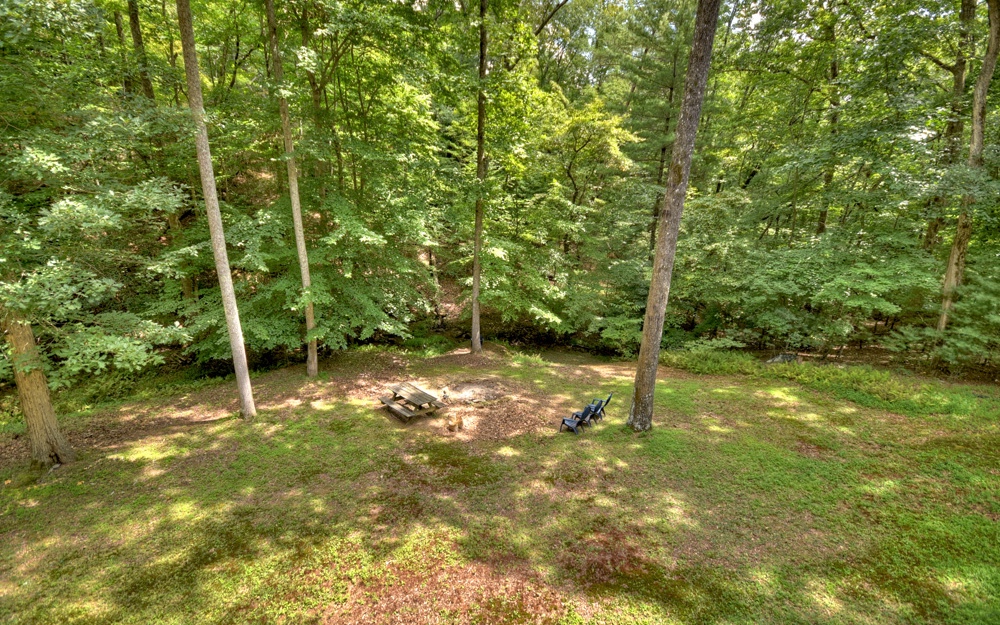 300 Brown Bear Path Blue Ridge, GA 30513 - Photo 49 of 56 Additional View