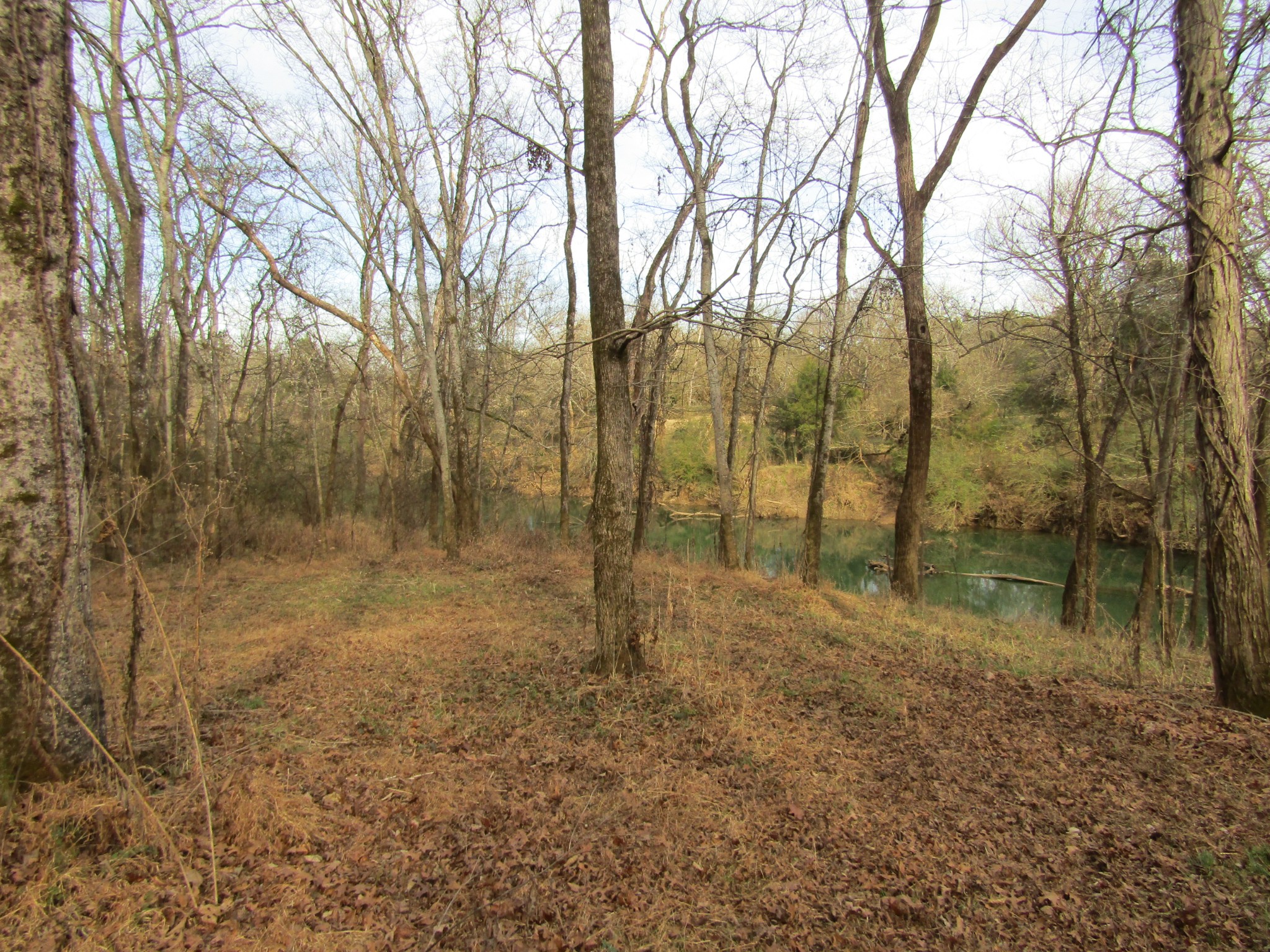 3199 Verona Caney Road Lewisburg, TN 37091 - Photo 11 of 17