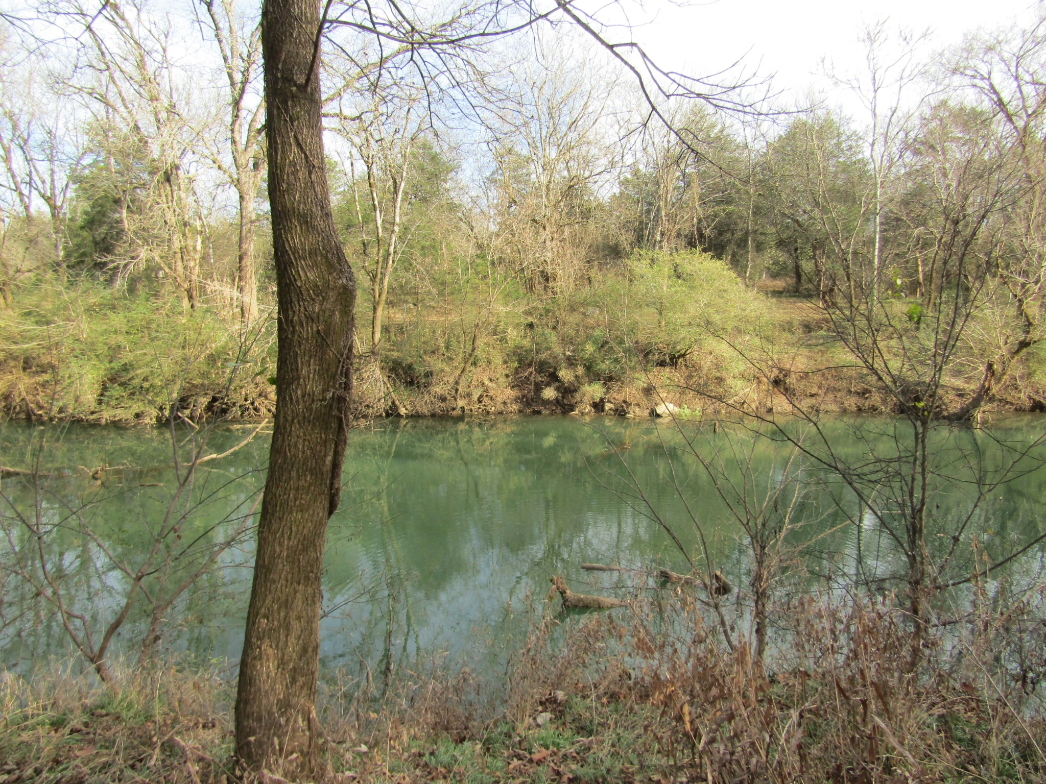 3199 Verona Caney Road Lewisburg, TN 37091 - Photo 13 of 17