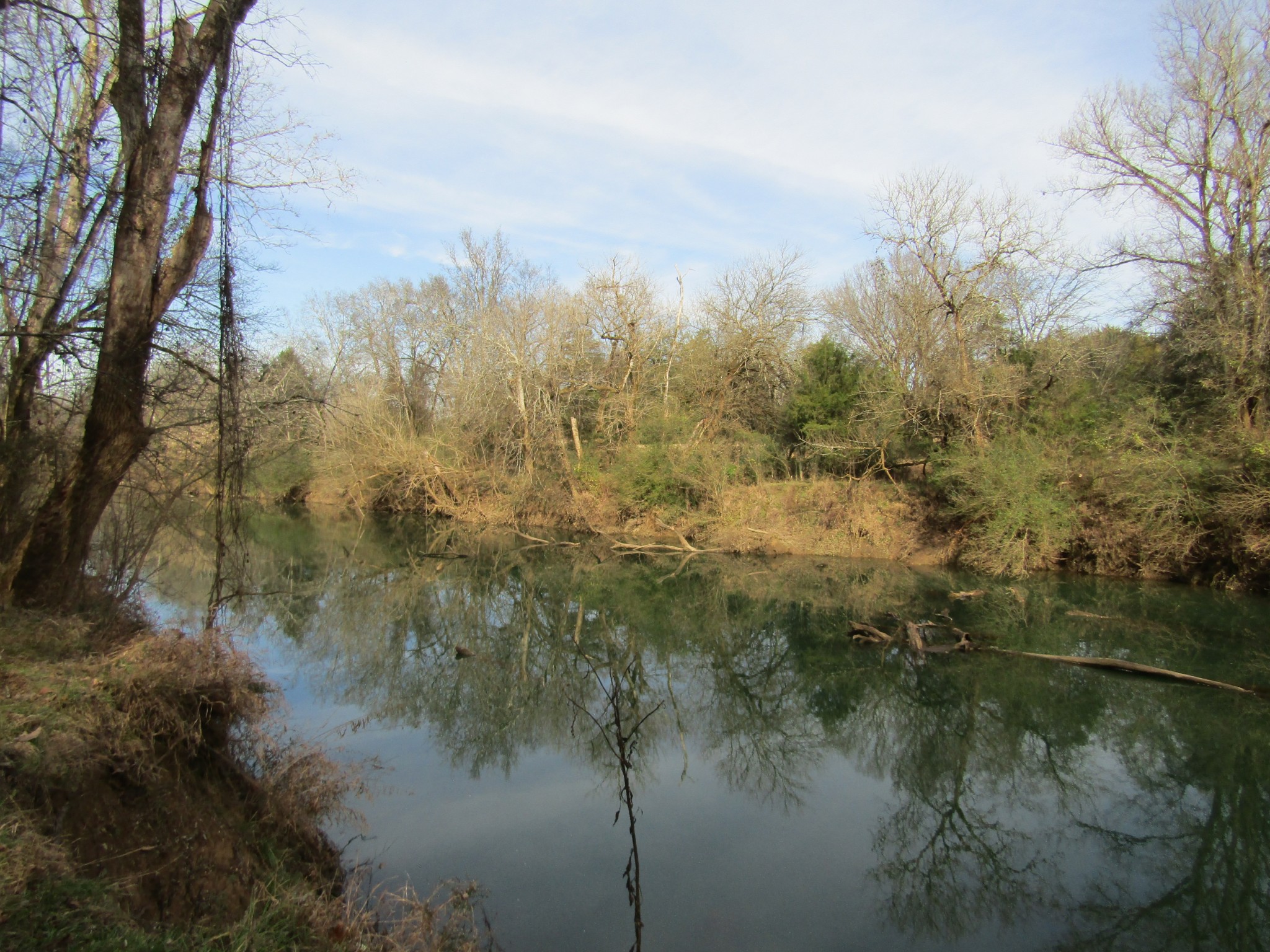 3199 Verona Caney Road Lewisburg, TN 37091 - Photo 14 of 17