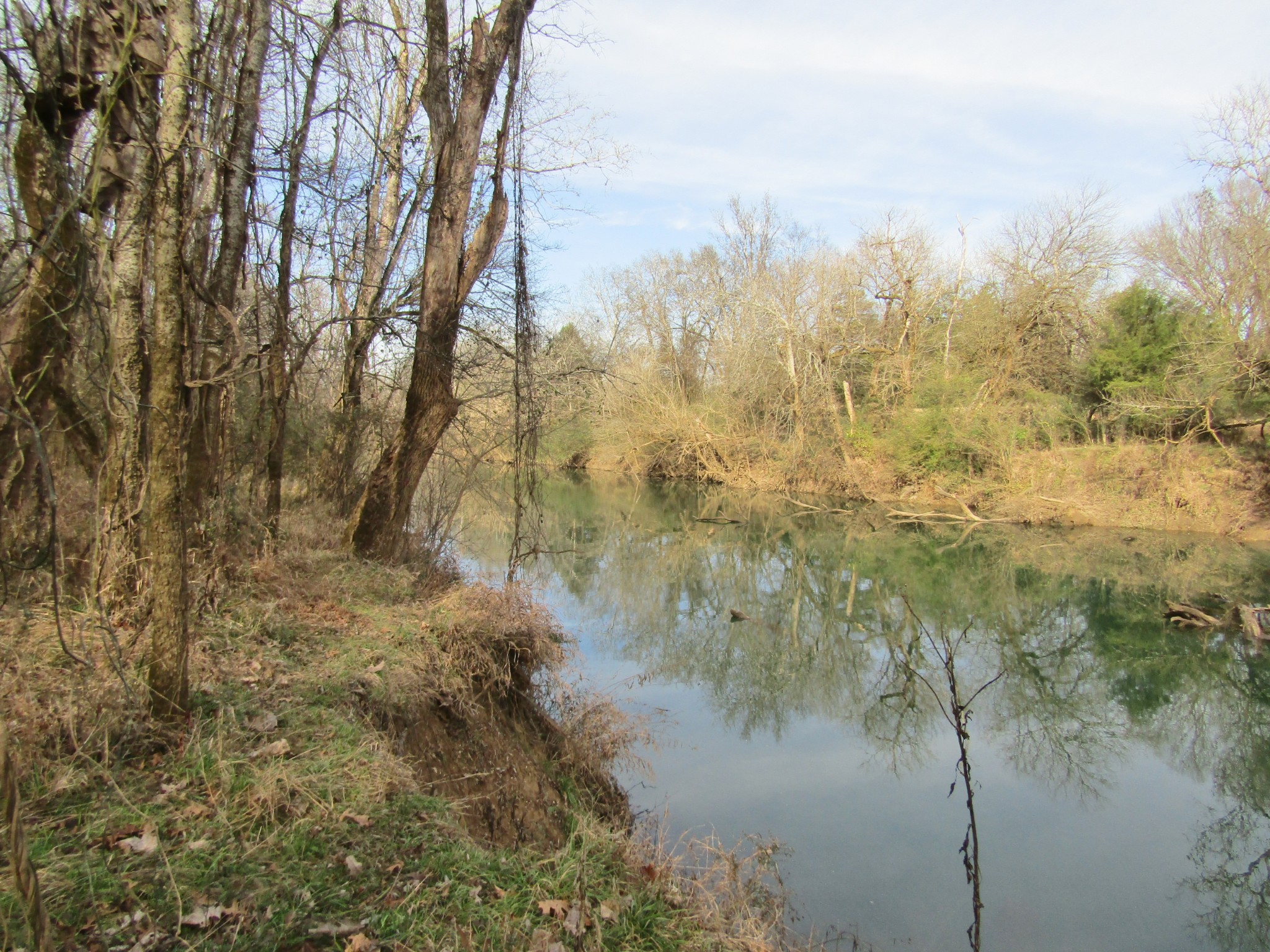 3199 Verona Caney Road Lewisburg, TN 37091 - Photo 16 of 17