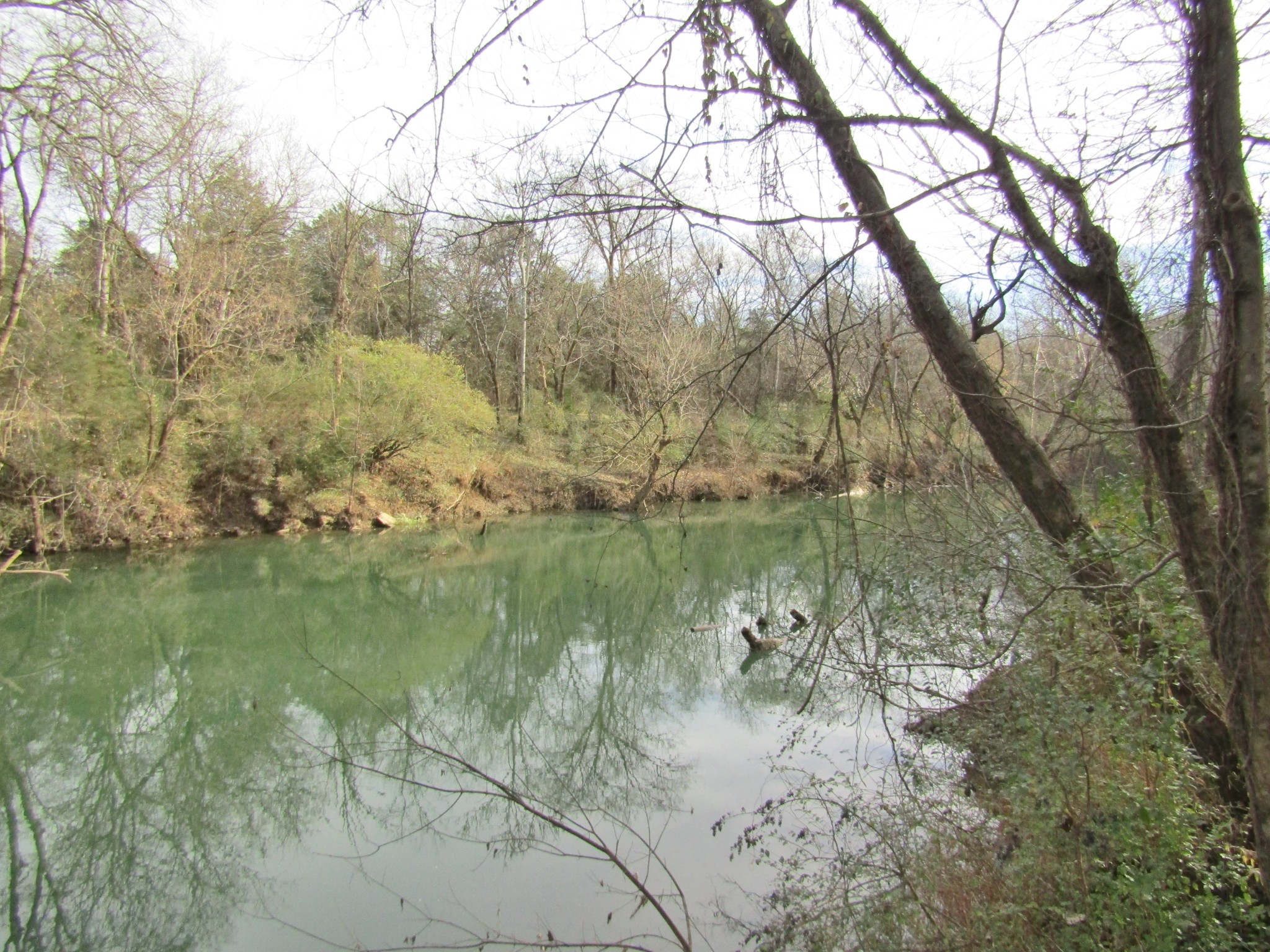 3199 Verona Caney Road Lewisburg, TN 37091 - Photo 17 of 17