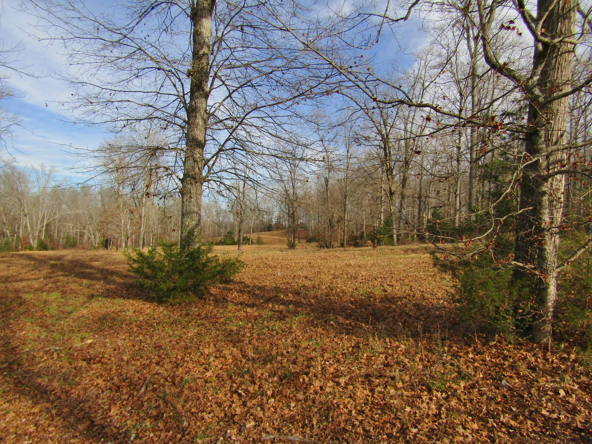 3199 Verona Caney Road Lewisburg, TN 37091 - Photo 4 of 17