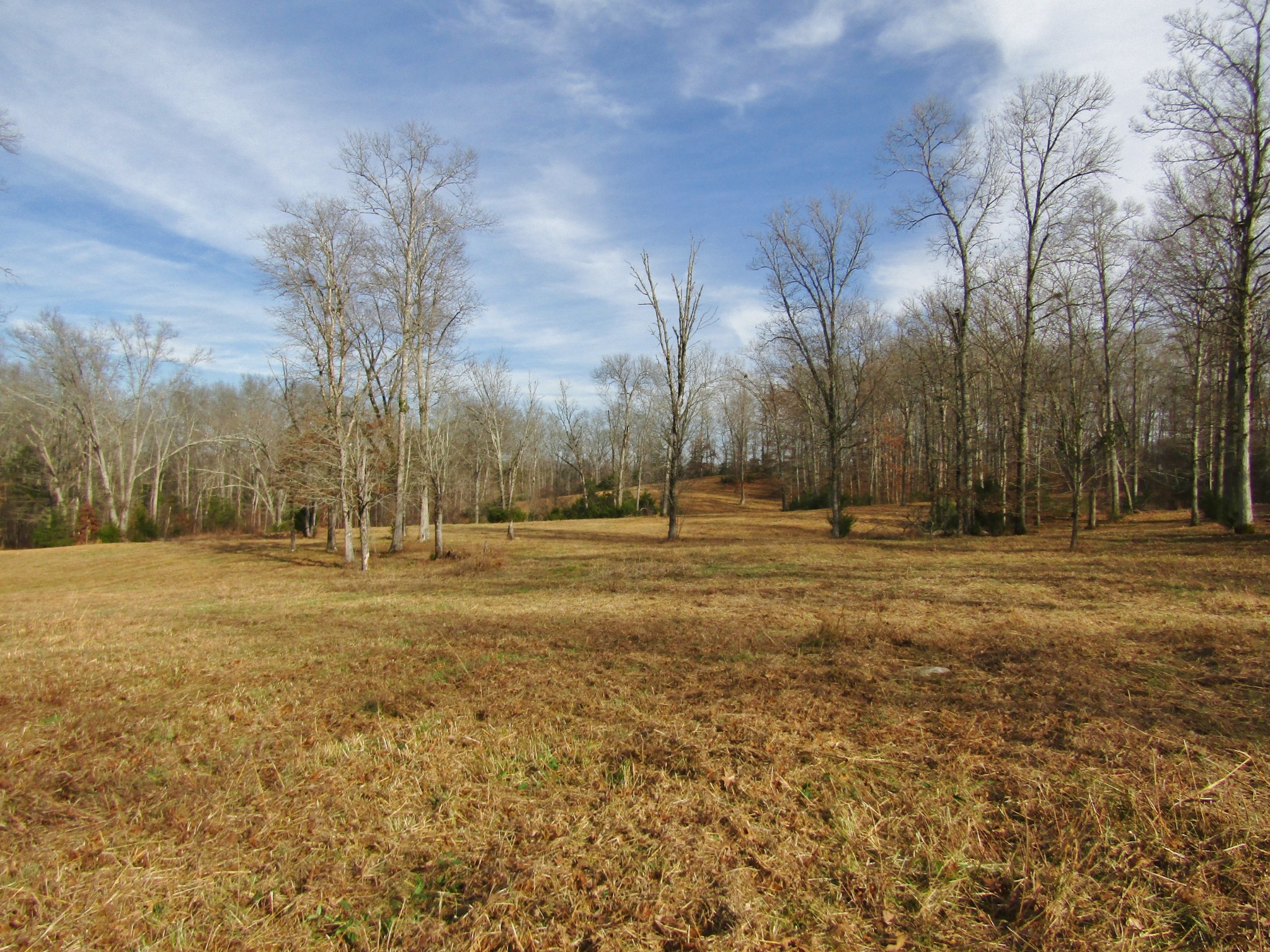 3199 Verona Caney Road Lewisburg, TN 37091 - Photo 5 of 17