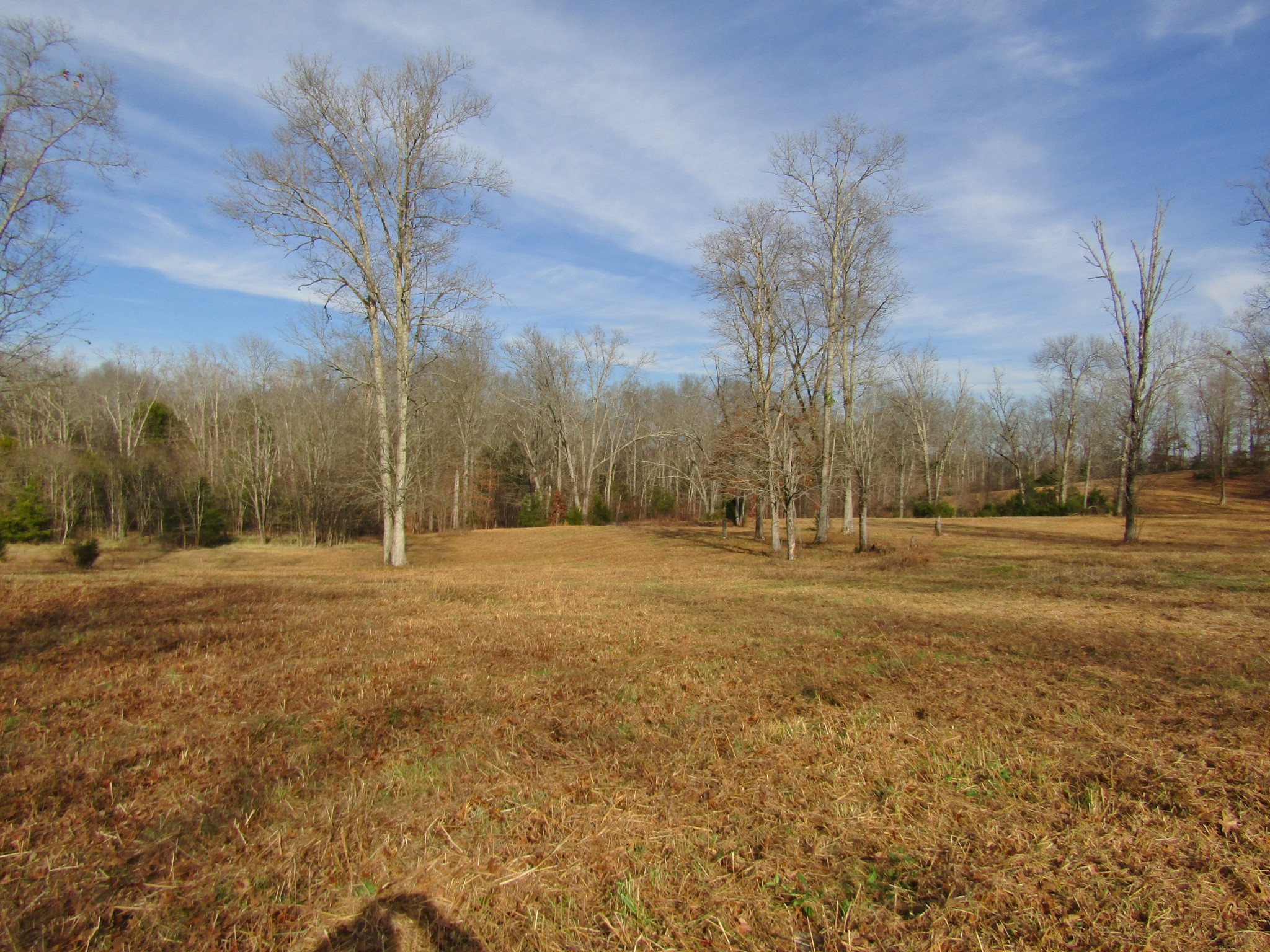 3199 Verona Caney Road Lewisburg, TN 37091 - Photo 6 of 17