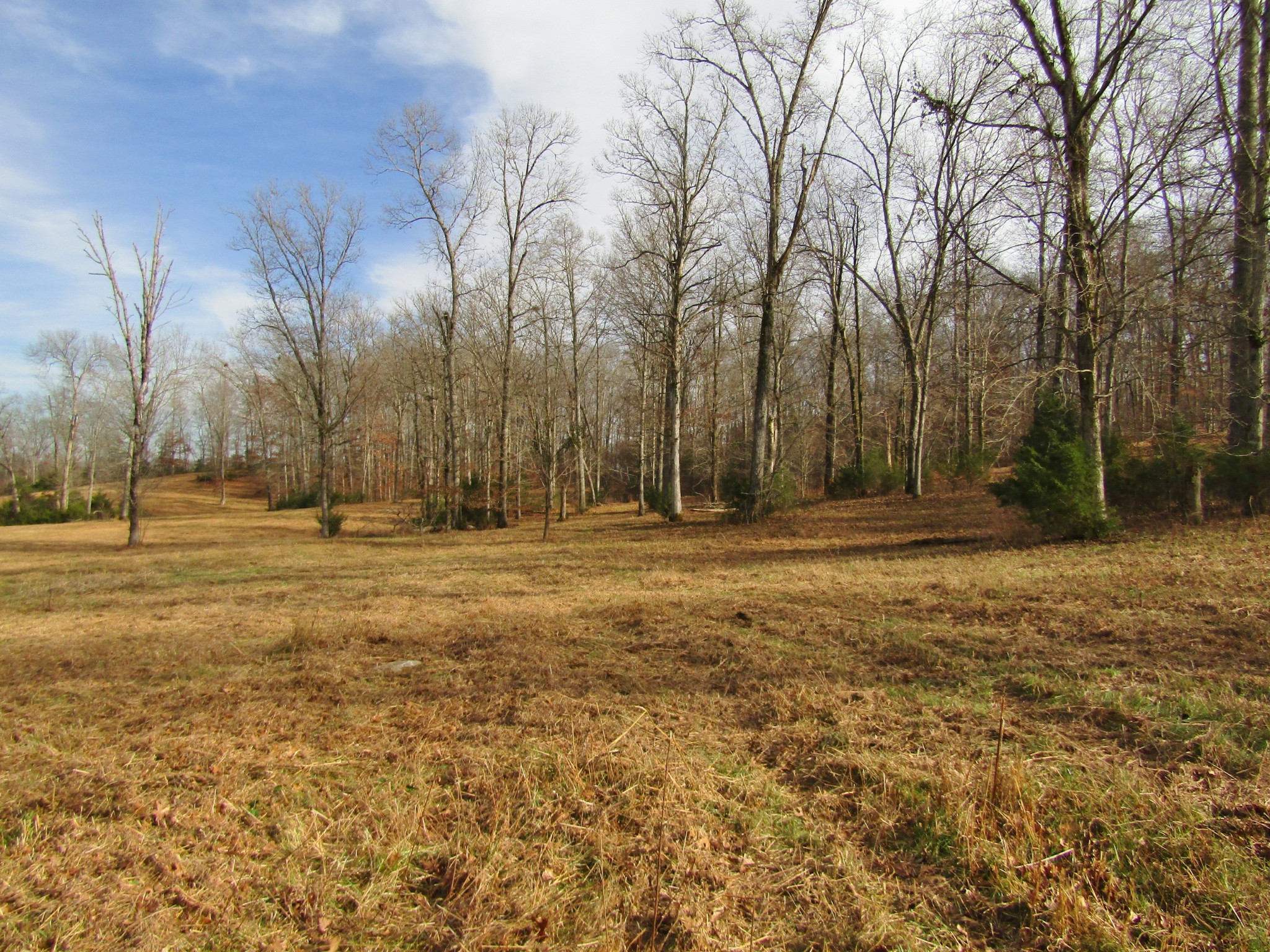 3199 Verona Caney Road Lewisburg, TN 37091 - Photo 7 of 17