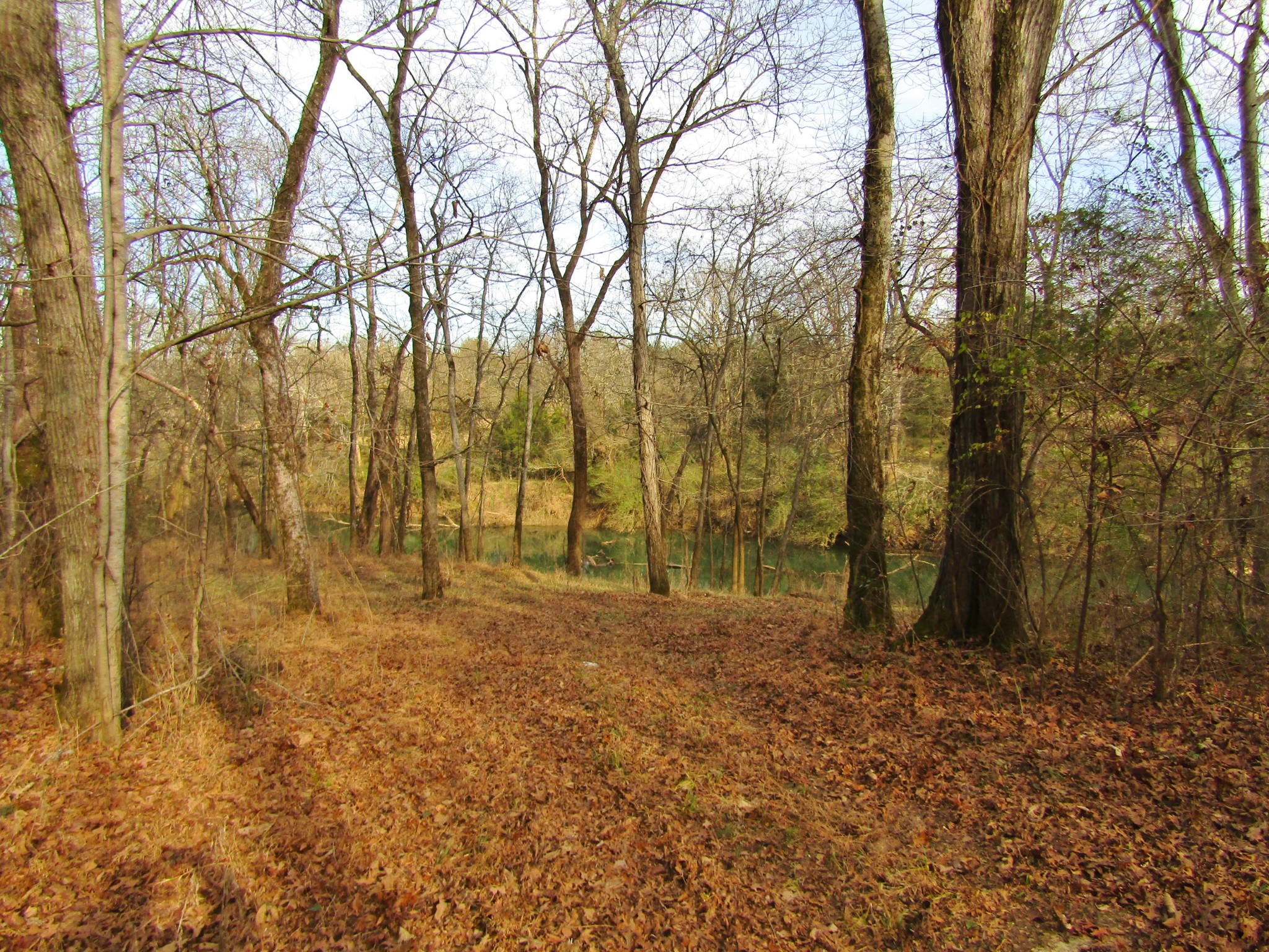 3199 Verona Caney Road Lewisburg, TN 37091 - Photo 8 of 17