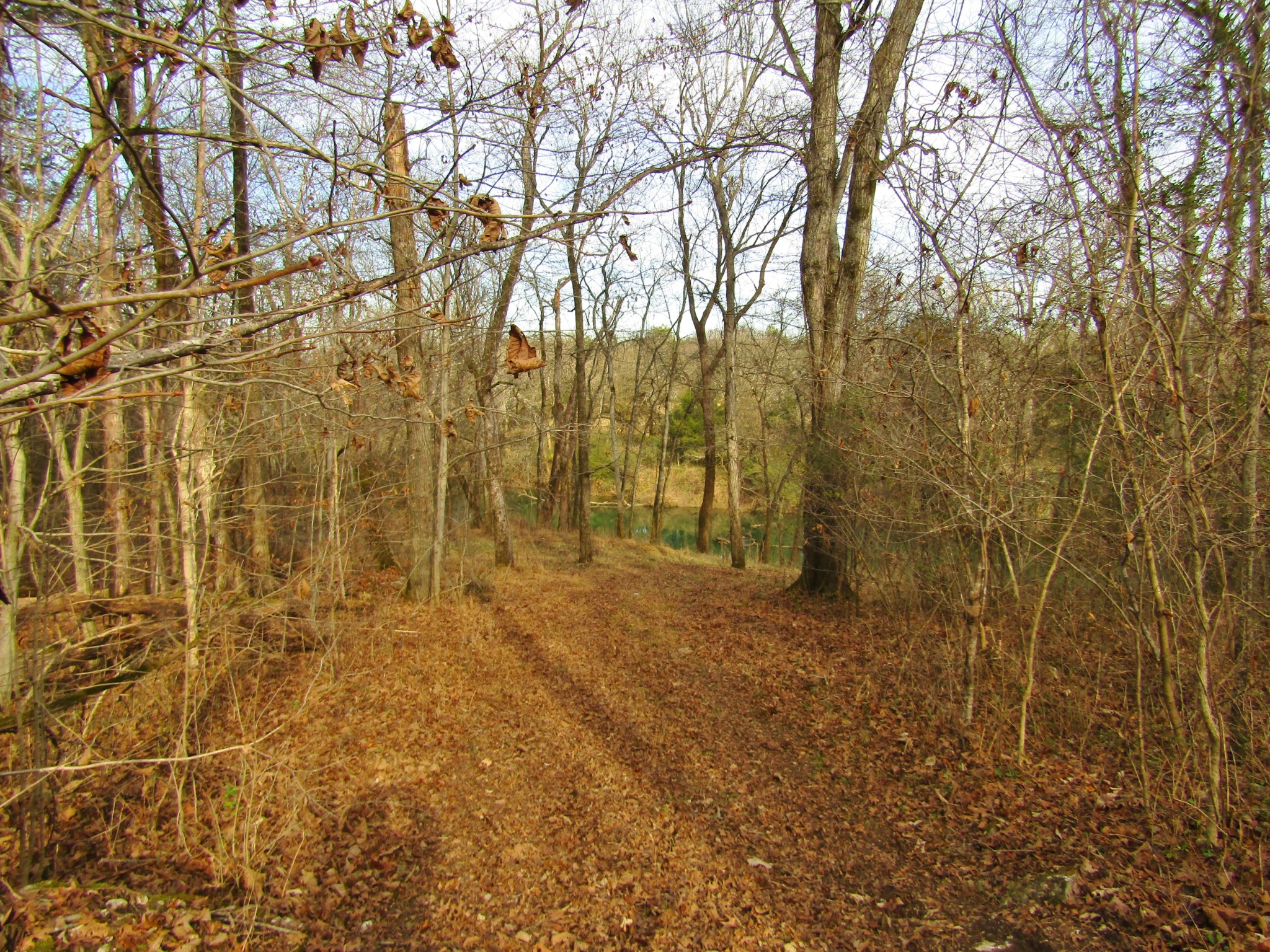 3199 Verona Caney Road Lewisburg, TN 37091 - Photo 9 of 17