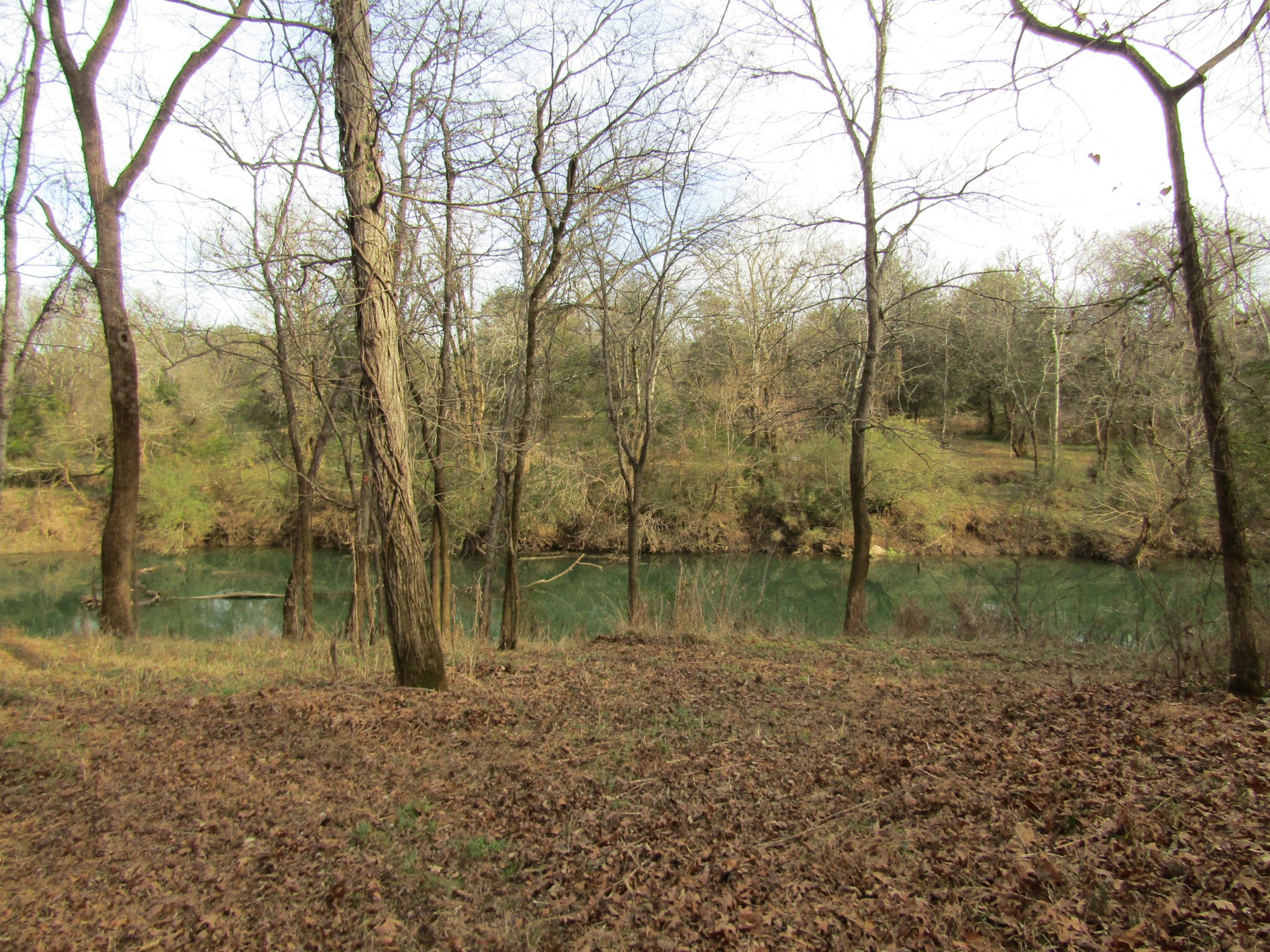 3199 Verona Caney Road Lewisburg, TN 37091 - Photo 10 of 17