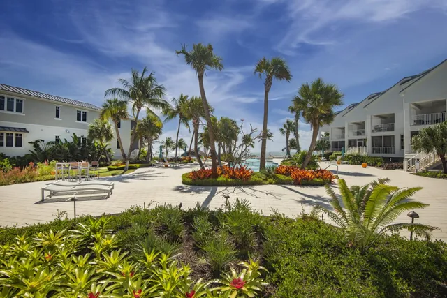 a view of a swimming pool with a lawn chair and palm tree