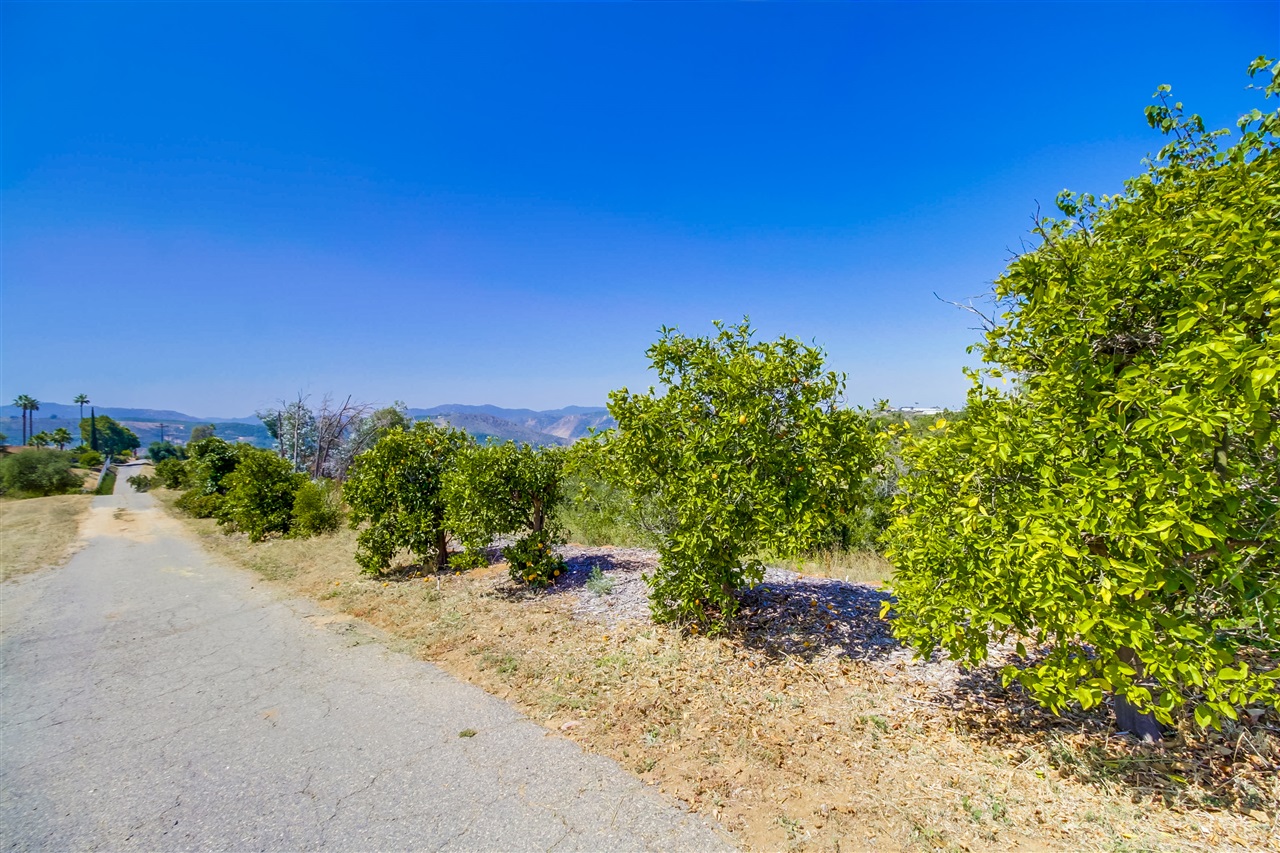 31955 Rocking Horse Road Escondido, CA 92026 - Photo 25 of 25