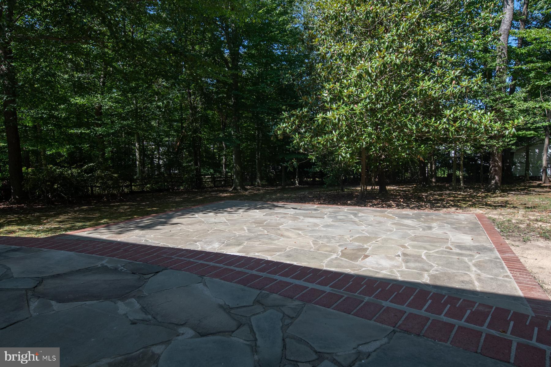 5120 Clinton Road Alexandria, VA 22312 - Photo 43 of 48 Let's have a party!