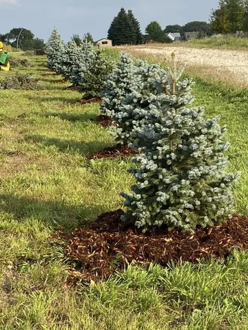 $645,000 | 0 80th Street Northwest, Annandale, MN 55302