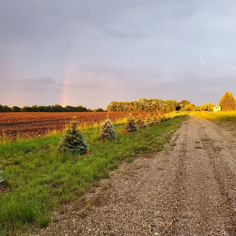 $645,000 | 0 80th Street Northwest, Annandale, MN 55302