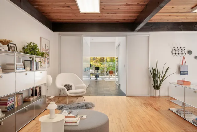 a living room with furniture and a potted plant