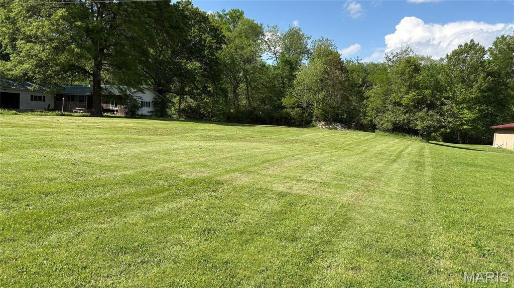 1019 East Main Street Sparta, IL 62286 - Photo 5 of 8