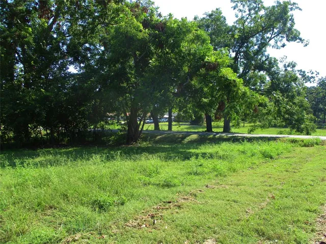 a view of green field