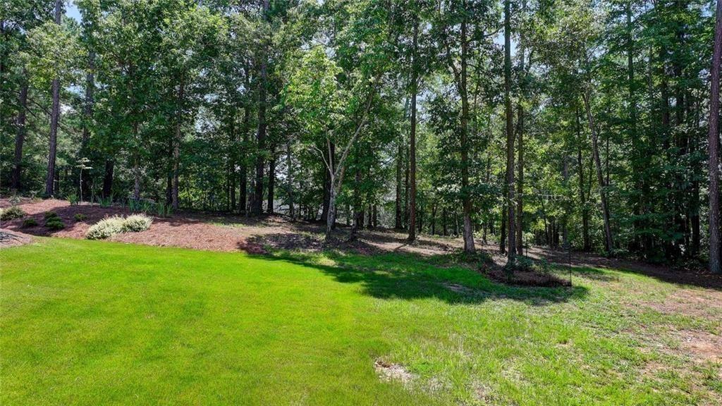 919 Fields Chapel Road Canton, GA 30114 - Photo 56 of 58 a view of a park with a tree