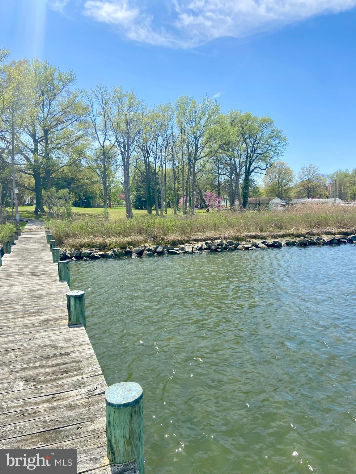 1052 Old Turkey Point Road Edgewater, MD 21037 - Photo 17 of 26 View of Excess Land