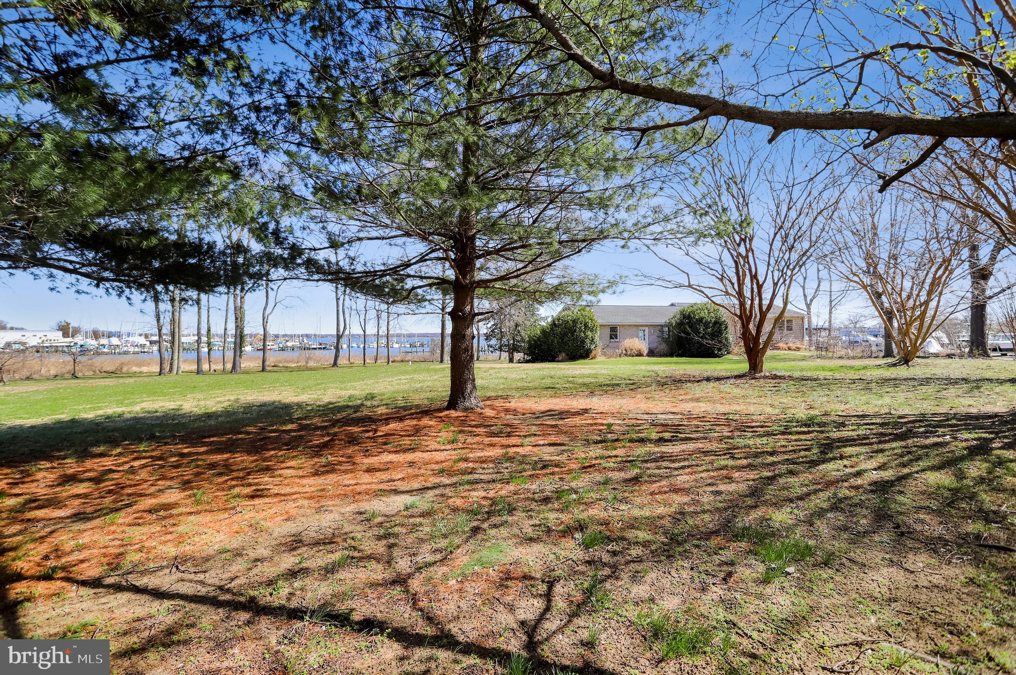 1052 Old Turkey Point Road Edgewater, MD 21037 - Photo 5 of 26 Large Yard