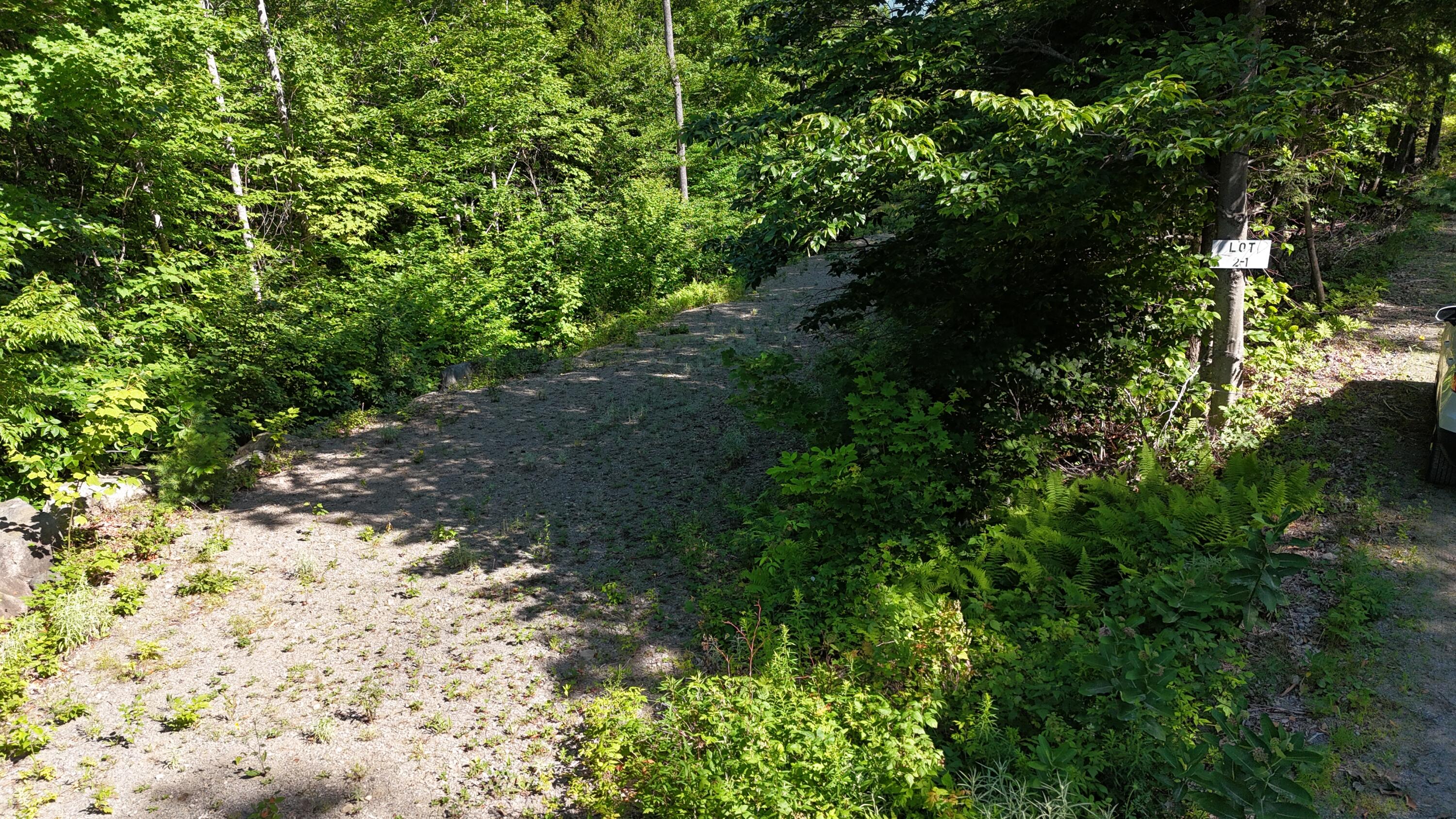 2 Lower Vose Road Kingfield, ME 04947 - Photo 15 of 40 dji_fly_20260711_093852_0673_17837785986