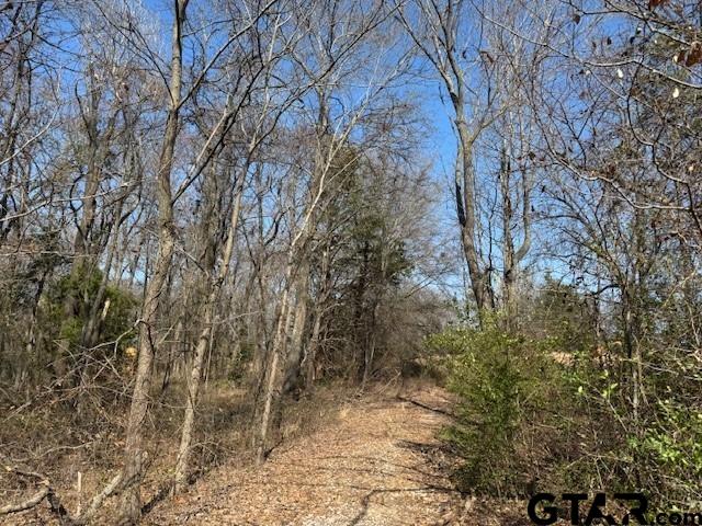 1575 County Road 1575 Alba, TX 75410 - Photo 11 of 15 a view of a yard