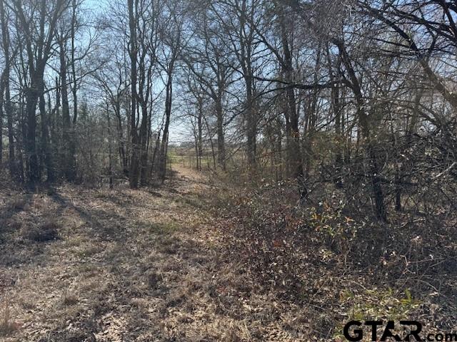 1575 County Road 1575 Alba, TX 75410 - Photo 12 of 15 a view of a forest with trees in the background