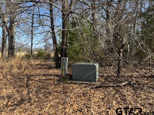 1575 County Road 1575 Alba, TX 75410 - Photo 14 of 15 a view of a dry yard with trees