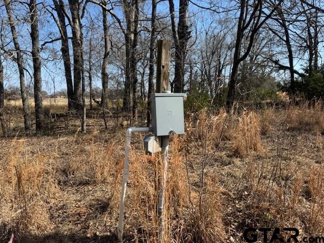 1575 County Road 1575 Alba, TX 75410 - Photo 15 of 15 a view of a backyard with large trees