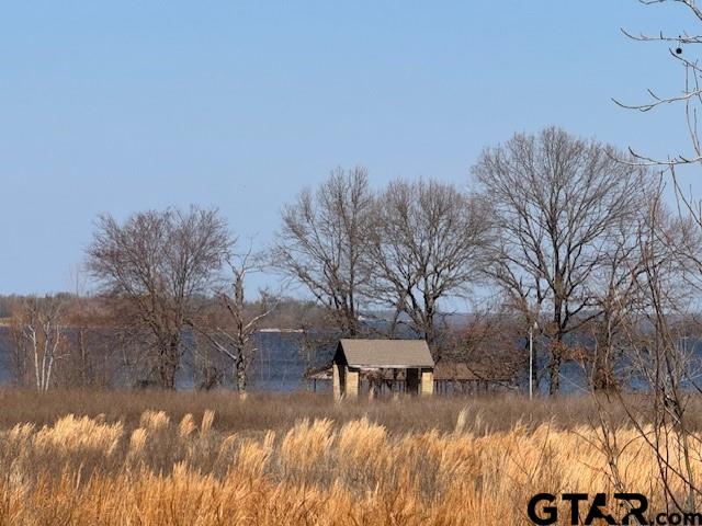 1575 County Road 1575 Alba, TX 75410 - Photo 8 of 15 a view of a lake with a yard