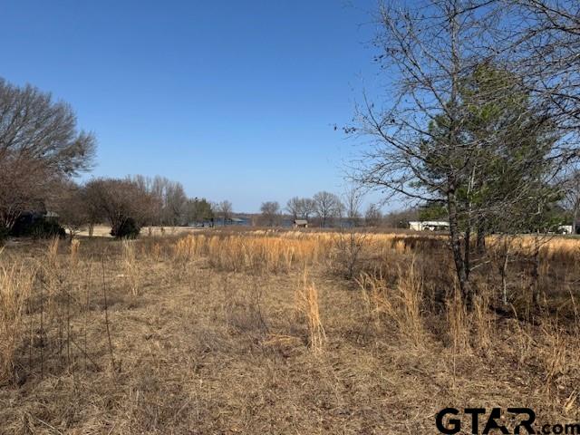 1575 County Road 1575 Alba, TX 75410 - Photo 10 of 15 a view of lake with houses