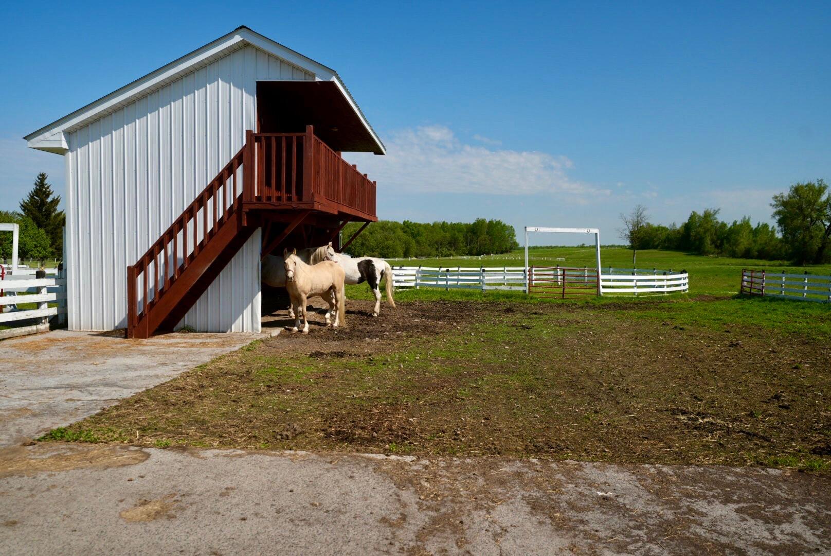 10 E Road Burke, NY 12917 - Photo 70 of 81 DSC03841