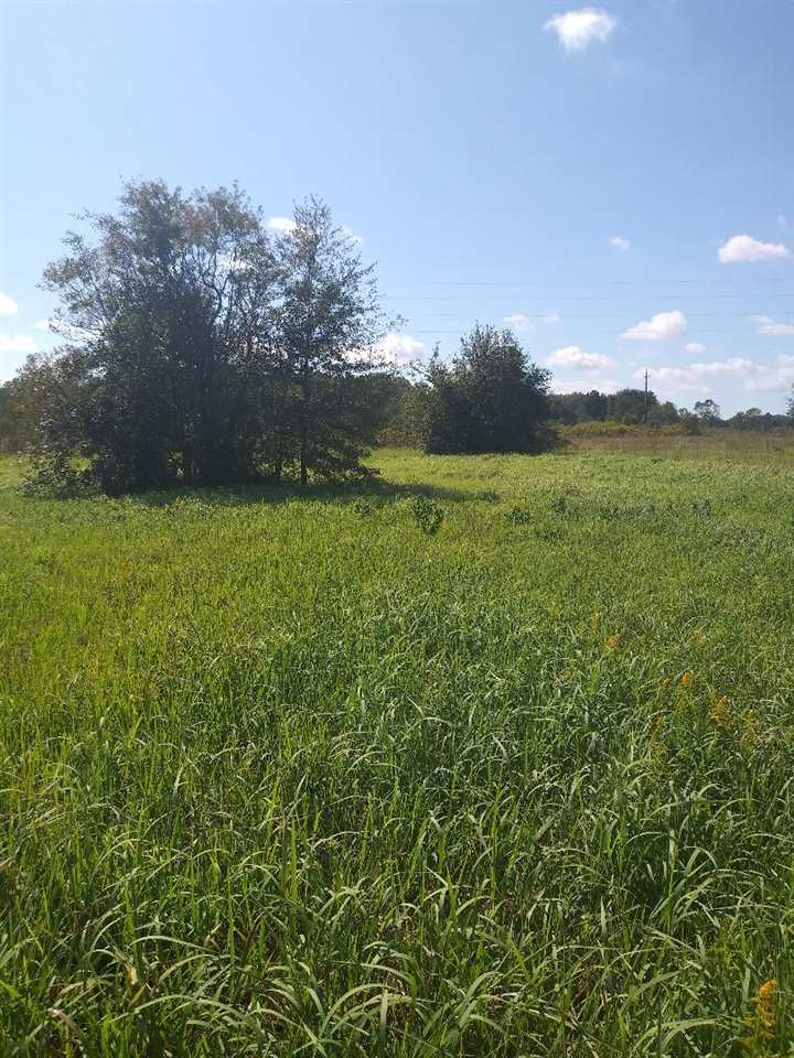 0 Wynn Road Summerdale, AL 36580 - Photo 9 of 12
