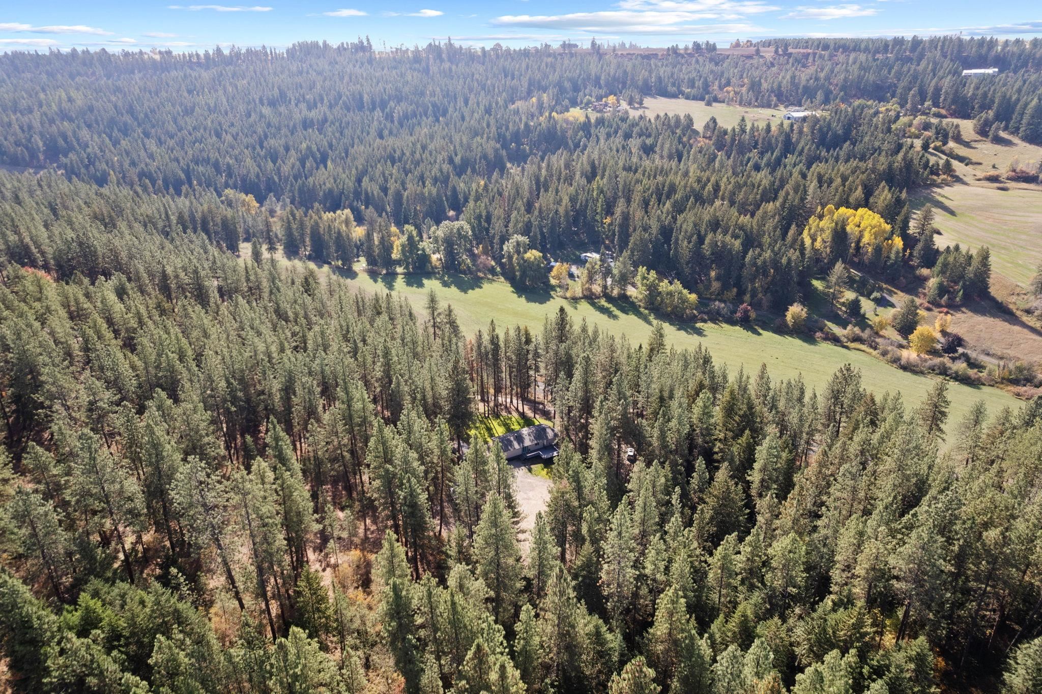 11923 East Moffat Road Mead, WA 99021 - Photo 44 of 50