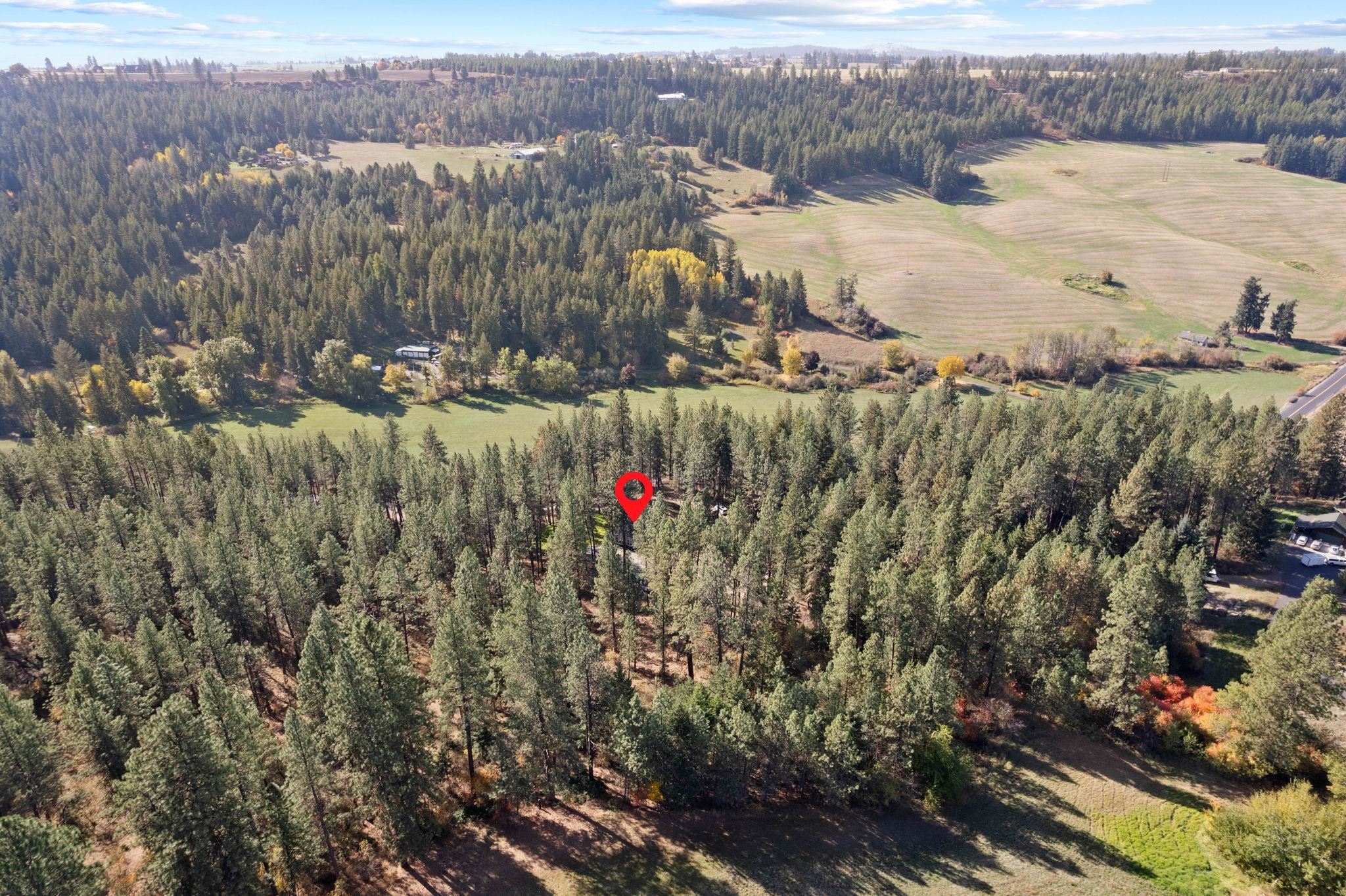 11923 East Moffat Road Mead, WA 99021 - Photo 45 of 50