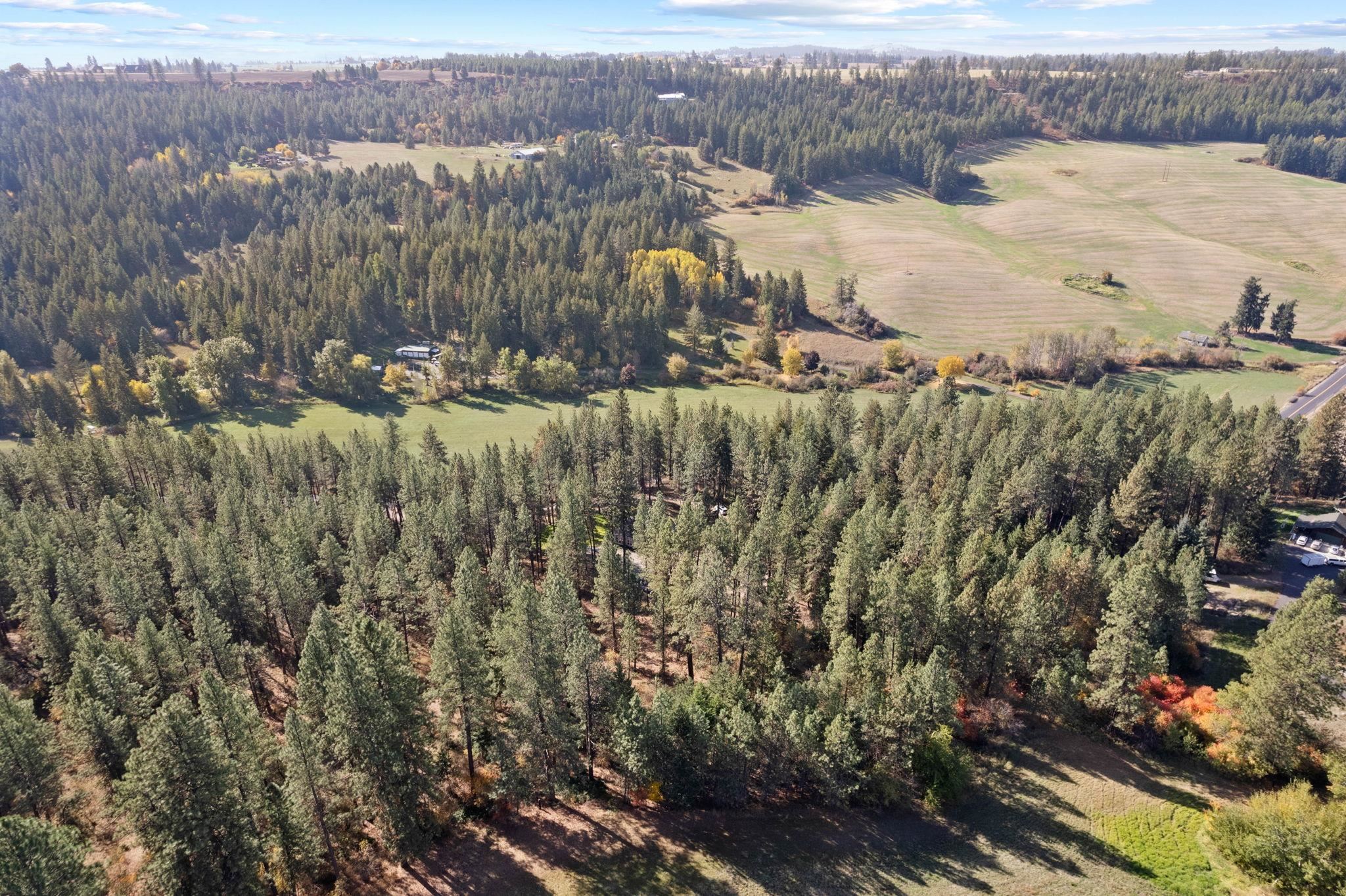 11923 East Moffat Road Mead, WA 99021 - Photo 46 of 50