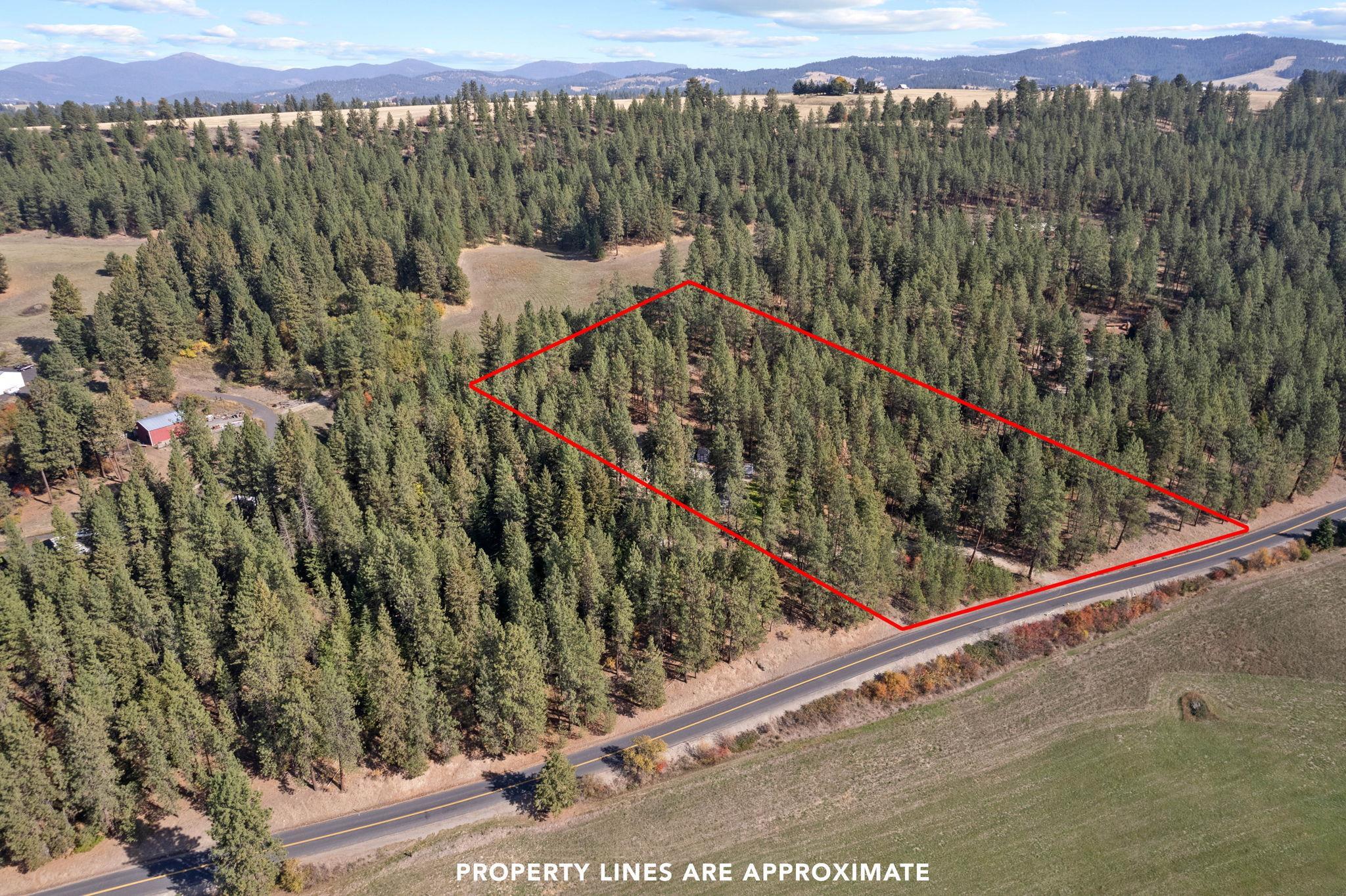 11923 East Moffat Road Mead, WA 99021 - Photo 48 of 50